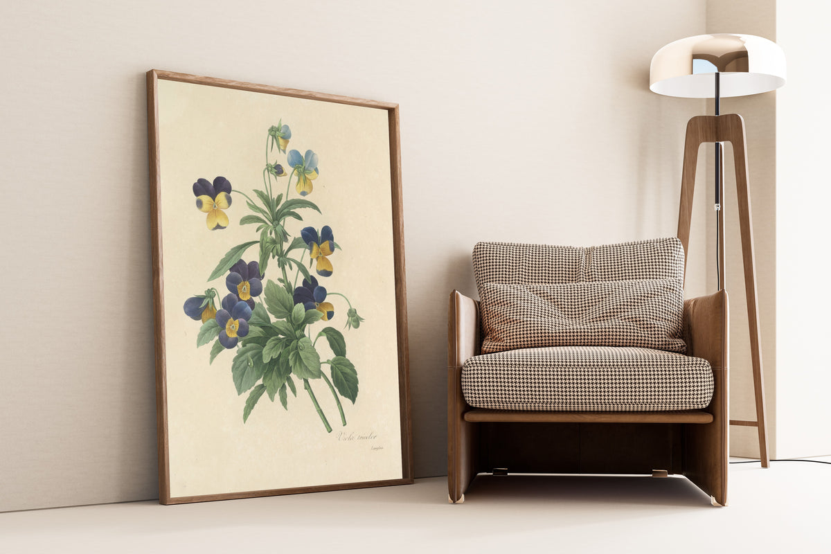 Framed art print of Choix des plus belles fleurs, Plate 66: Viola Tricolor by Pierre-Joseph Redouté, leaning against a wall beside an armchair and a floor lamp