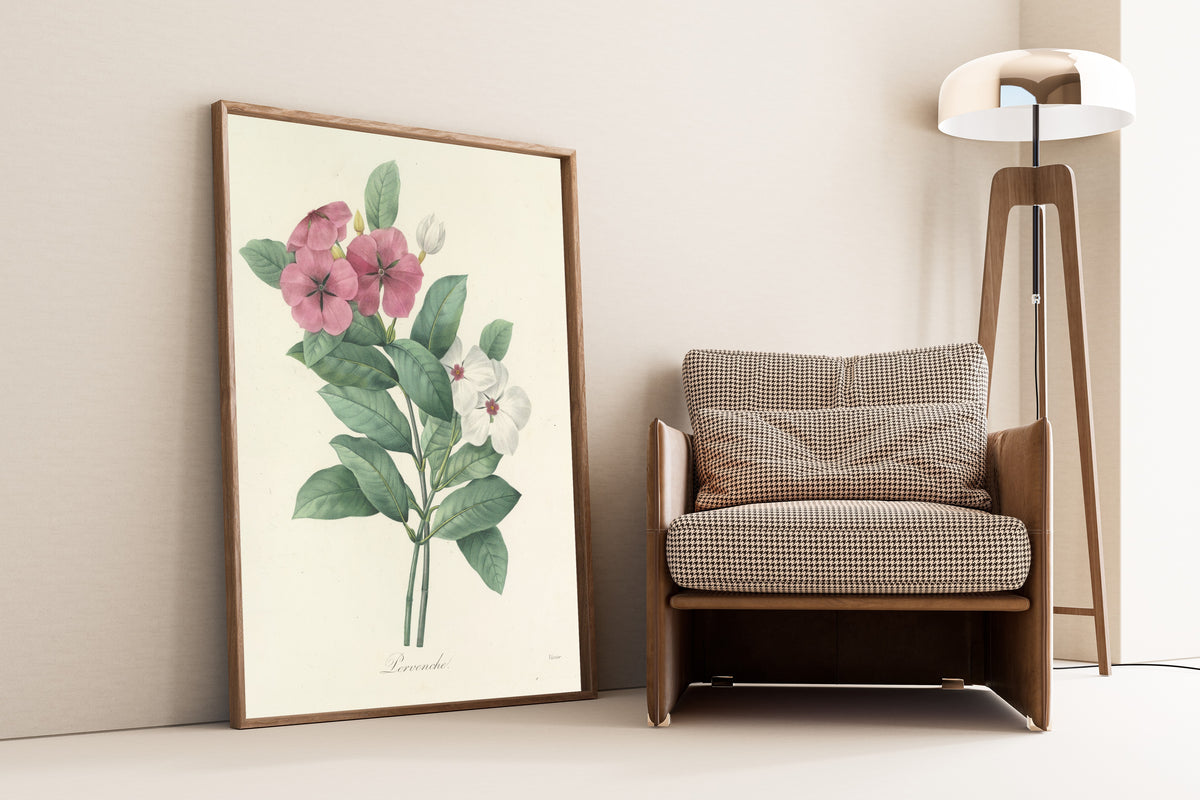 Framed art print of Choix des plus belles fleurs, Plate 68: Pervenche by Pierre-Joseph Redouté, leaning against a wall beside an armchair and a floor lamp