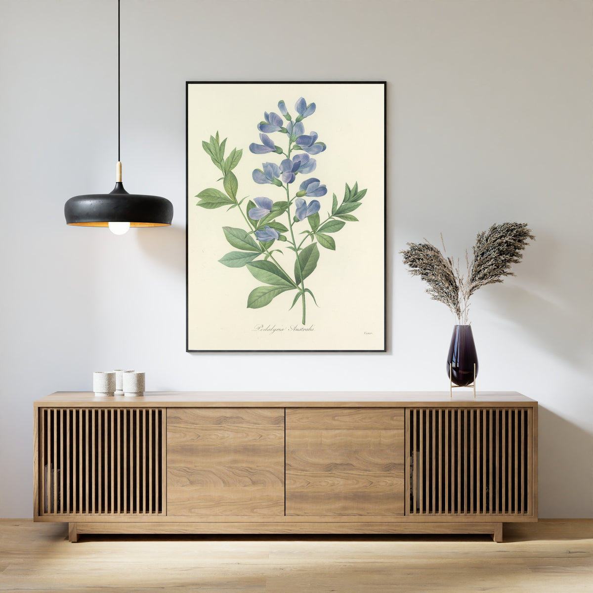 Framed art print of Choix des plus belles fleurs, Plate 77: Podalyria Australis by Pierre-Joseph Redouté, above a slatted wood sideboard