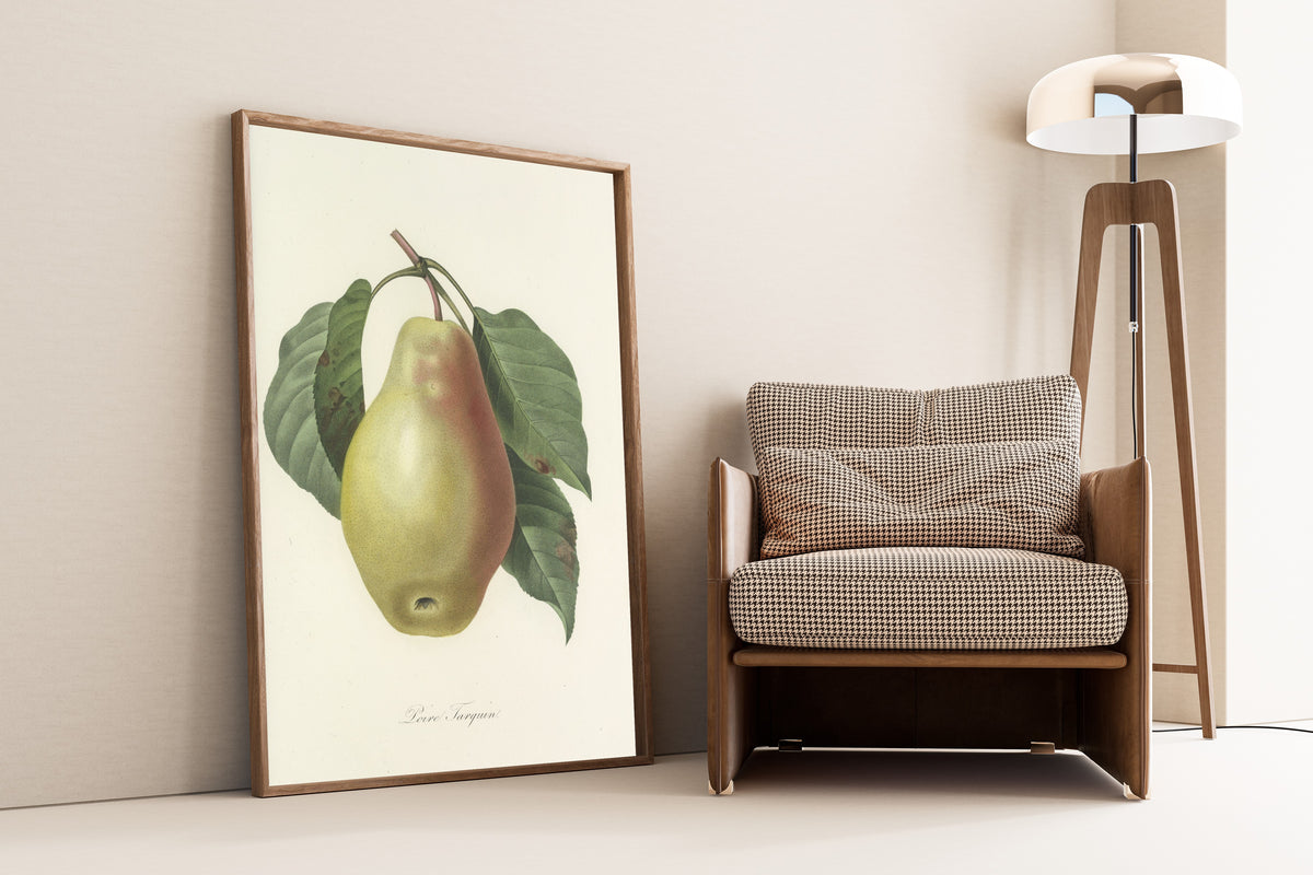 Framed art print of Choix des plus belles fleurs, Plate 78: Poire Tarquin by Pierre-Joseph Redouté, leaning against a wall beside an armchair and a floor lamp