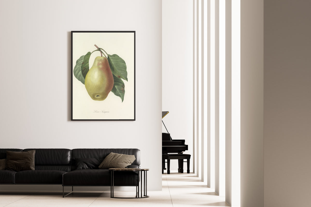 Framed art print of Choix des plus belles fleurs, Plate 78: Poire Tarquin by Pierre-Joseph Redouté, on the wall of a minimal living room