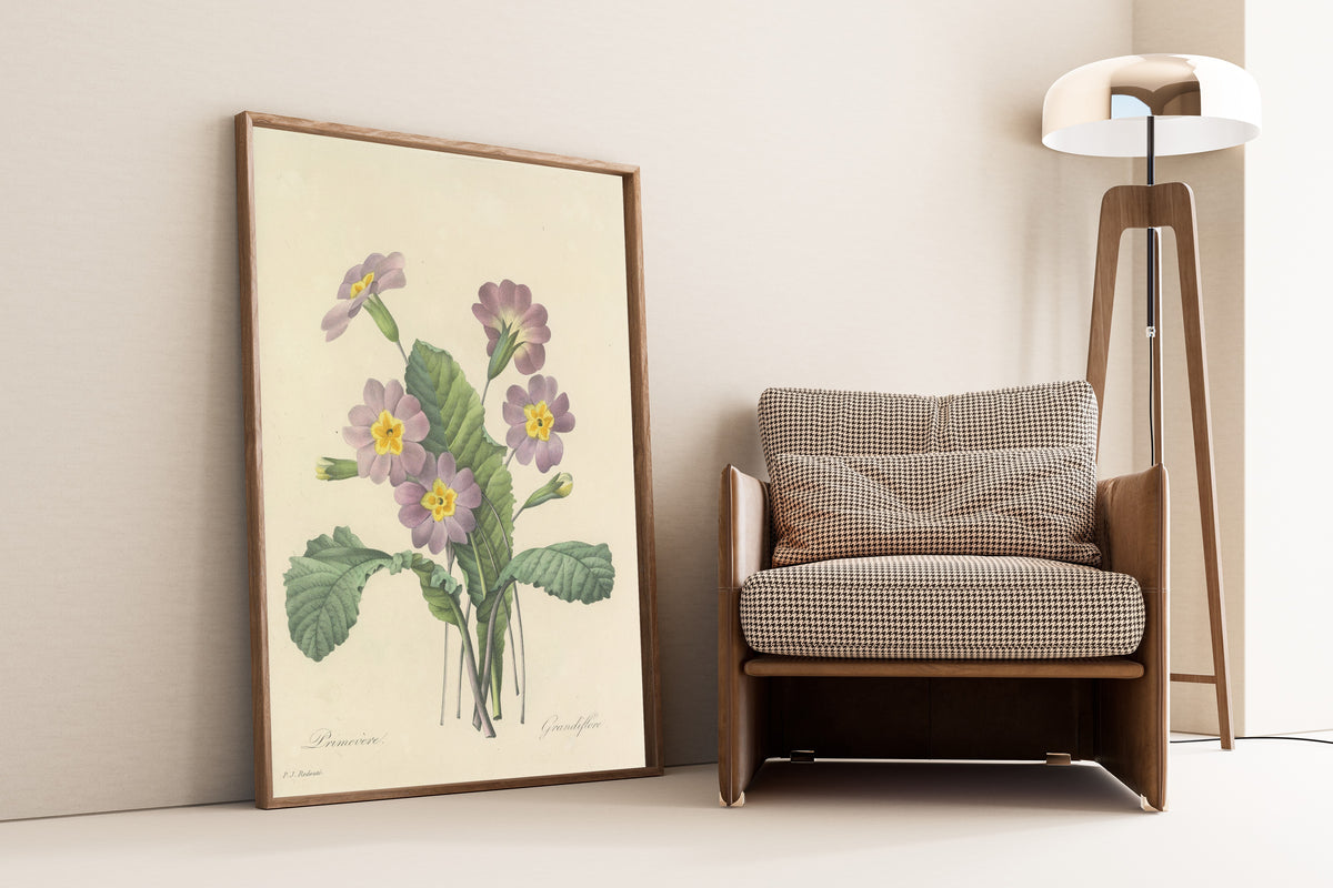 Framed art print of Choix des plus belles fleurs, Plate 82: Primevère… by Pierre-Joseph Redouté, leaning against a wall beside an armchair and a floor lamp