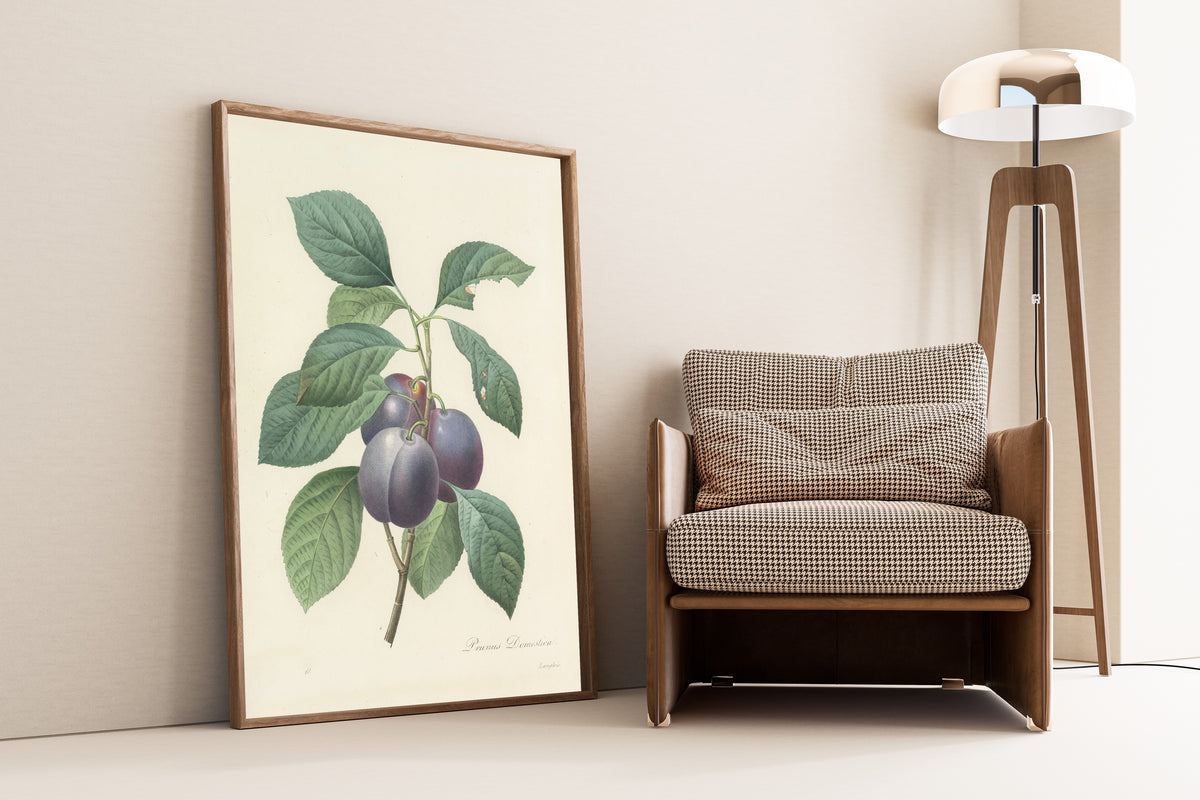 Framed art print of Choix des plus belles fleurs, Plate 83: Prunus… by Pierre-Joseph Redouté, leaning against a wall beside an armchair and a floor lamp