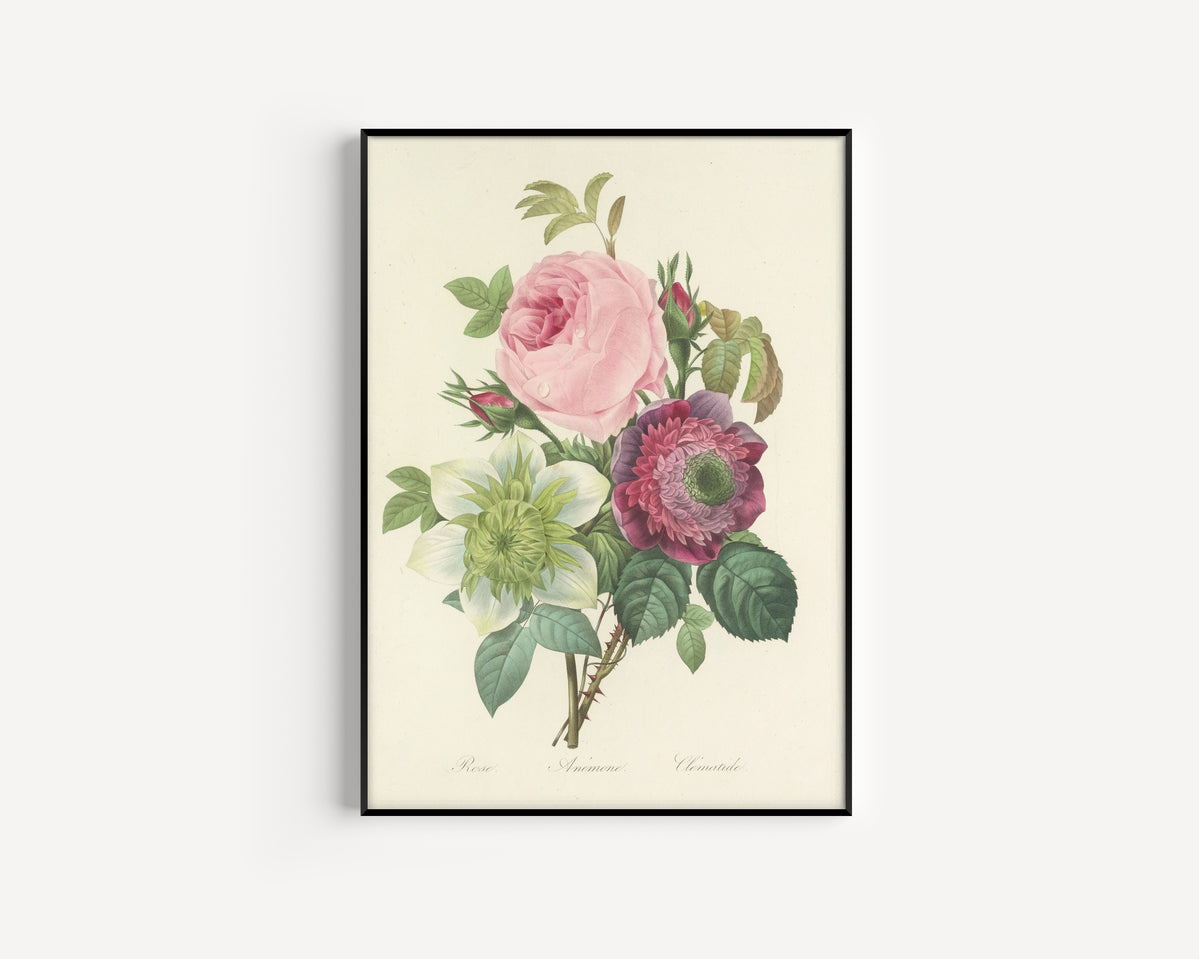 Framed art print of Choix des plus belles fleurs, Plate 95: Rose, Anémone and Clématide by Pierre-Joseph Redouté, in a slim black frame on a plain white wall