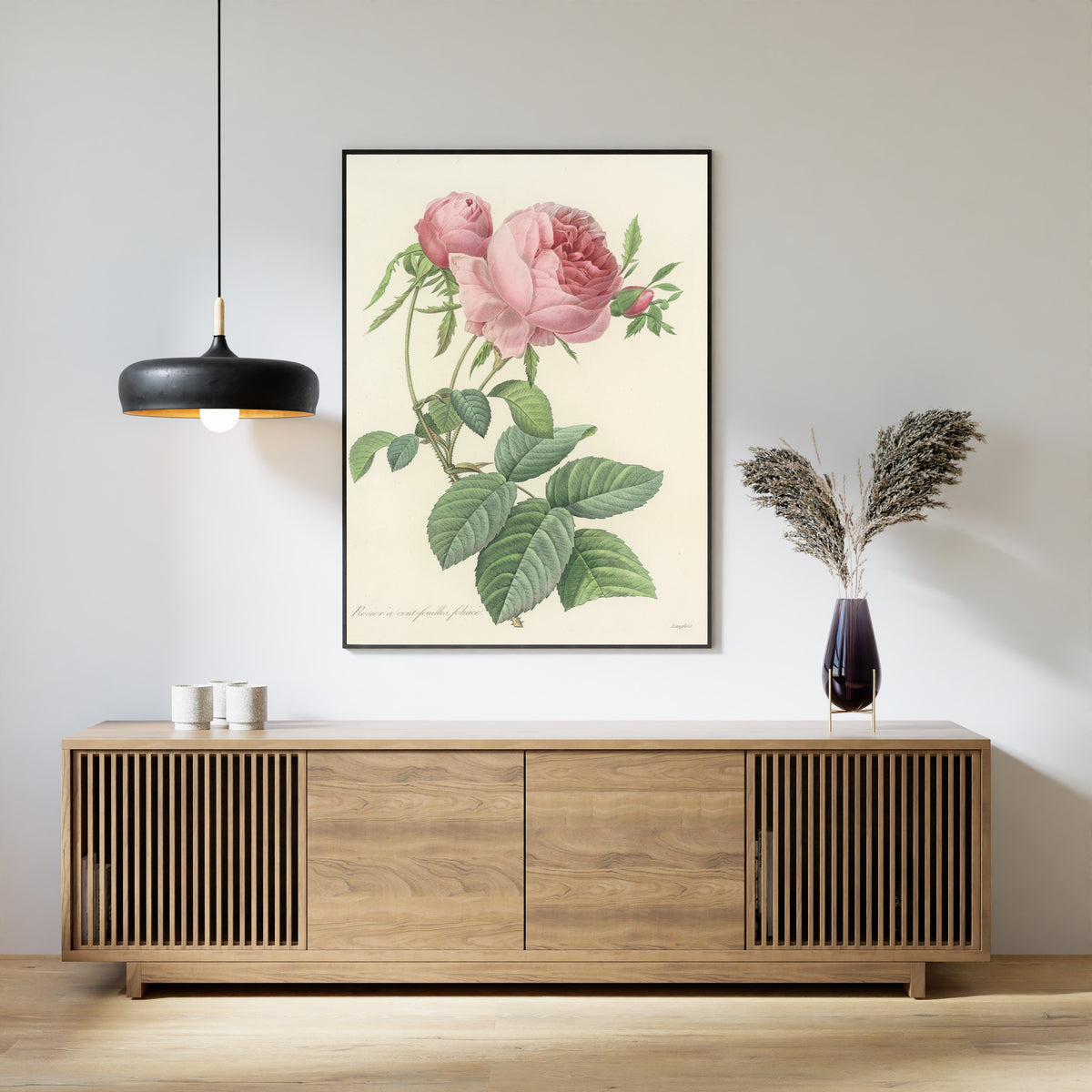 Framed art print of Choix des plus belles fleurs, Plate 99: Rosier à Cent-Feuilles, Foliacé by Pierre-Joseph Redouté, above a slatted wood sideboard