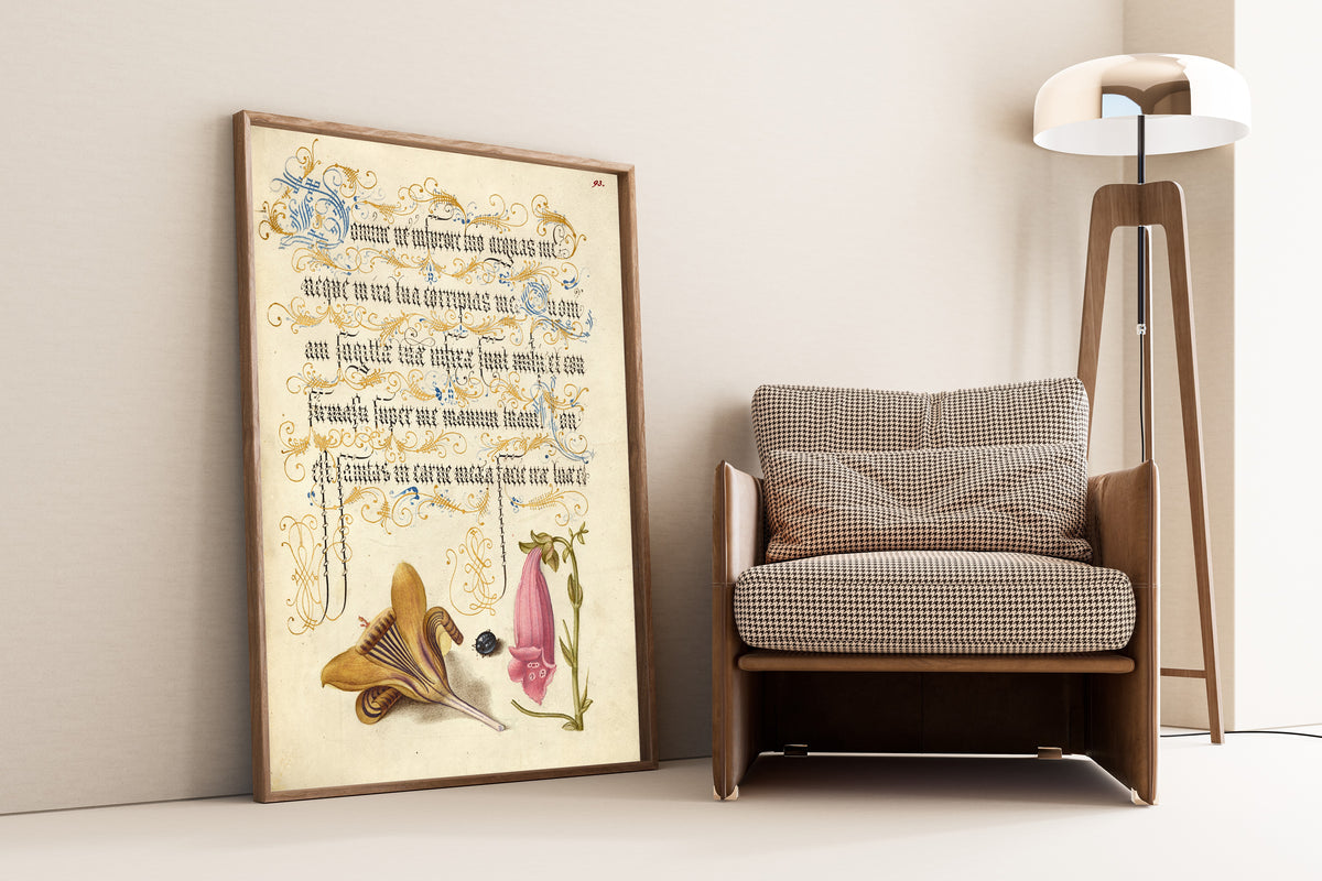 Joris Hoefnagel — Cloth-of-Gold Crocus, Beetle, and Foxglove | Botanical Calligraphy Print