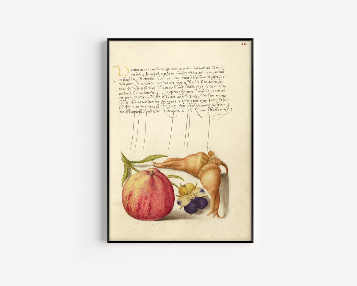 Joris Hoefnagel — Common Apple, European Wild Pansy, and Giant Filbert | Botanical Calligraphy Print