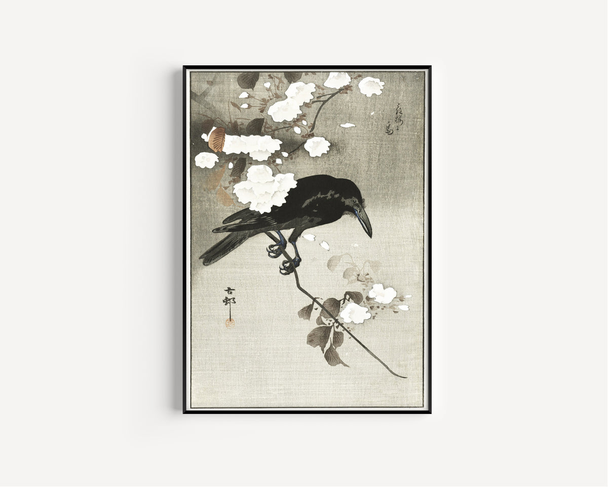 Ohara Koson — Crow with Cherry Blossom | Japanese Bird & Flower Woodblock Print