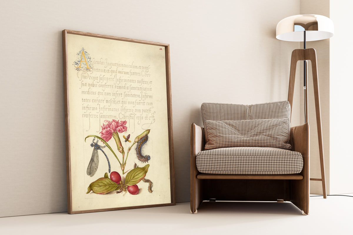 Joris Hoefnagel — Damselfly, Carnation, Firebug, Caterpillar, Carnelian Cherry, and Centipede | Botanical Calligraphy Print