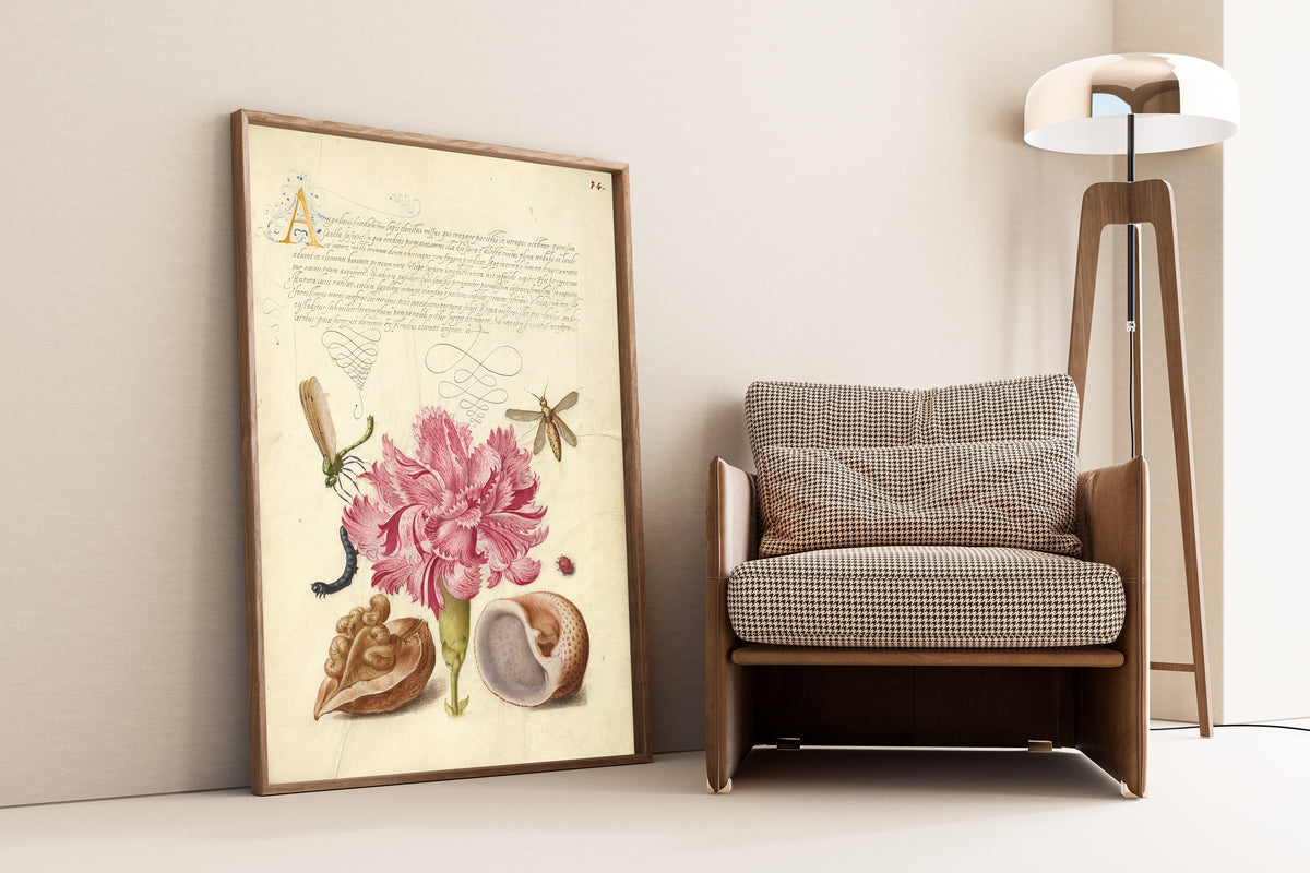 Framed art print of Damselfly, Carnation, Insect, Caterpillar, Ladybird… by Joris Hoefnagel, leaning against a wall beside an armchair and a floor lamp