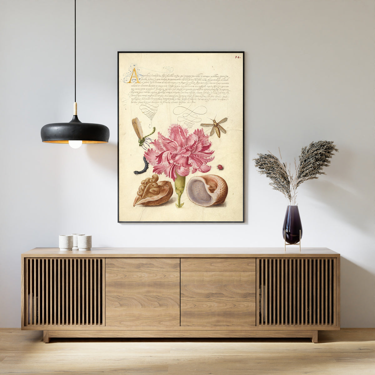 Framed art print of Damselfly, Carnation, Insect, Caterpillar, Ladybird, English Walnut, and Marine Mollusk by Joris Hoefnagel, above a slatted wood sideboard