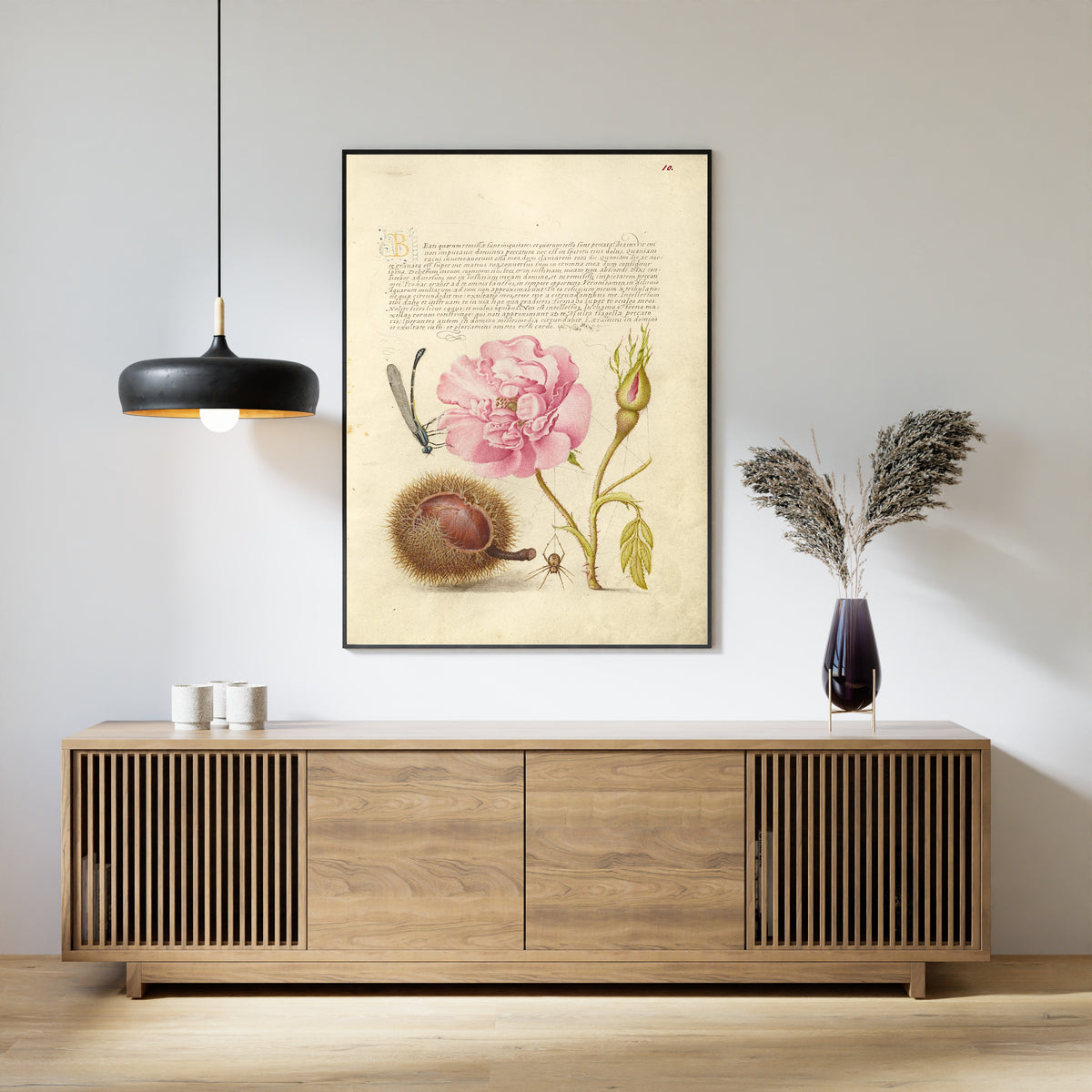 Joris Hoefnagel — Damselfly, French Rose, Spanish Chestnut, and Spider | Botanical Calligraphy Print