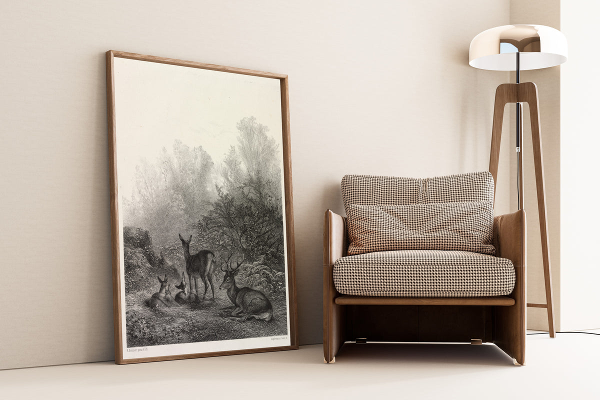 Karl Bodmer — Deer at Rest | Fine Art Print