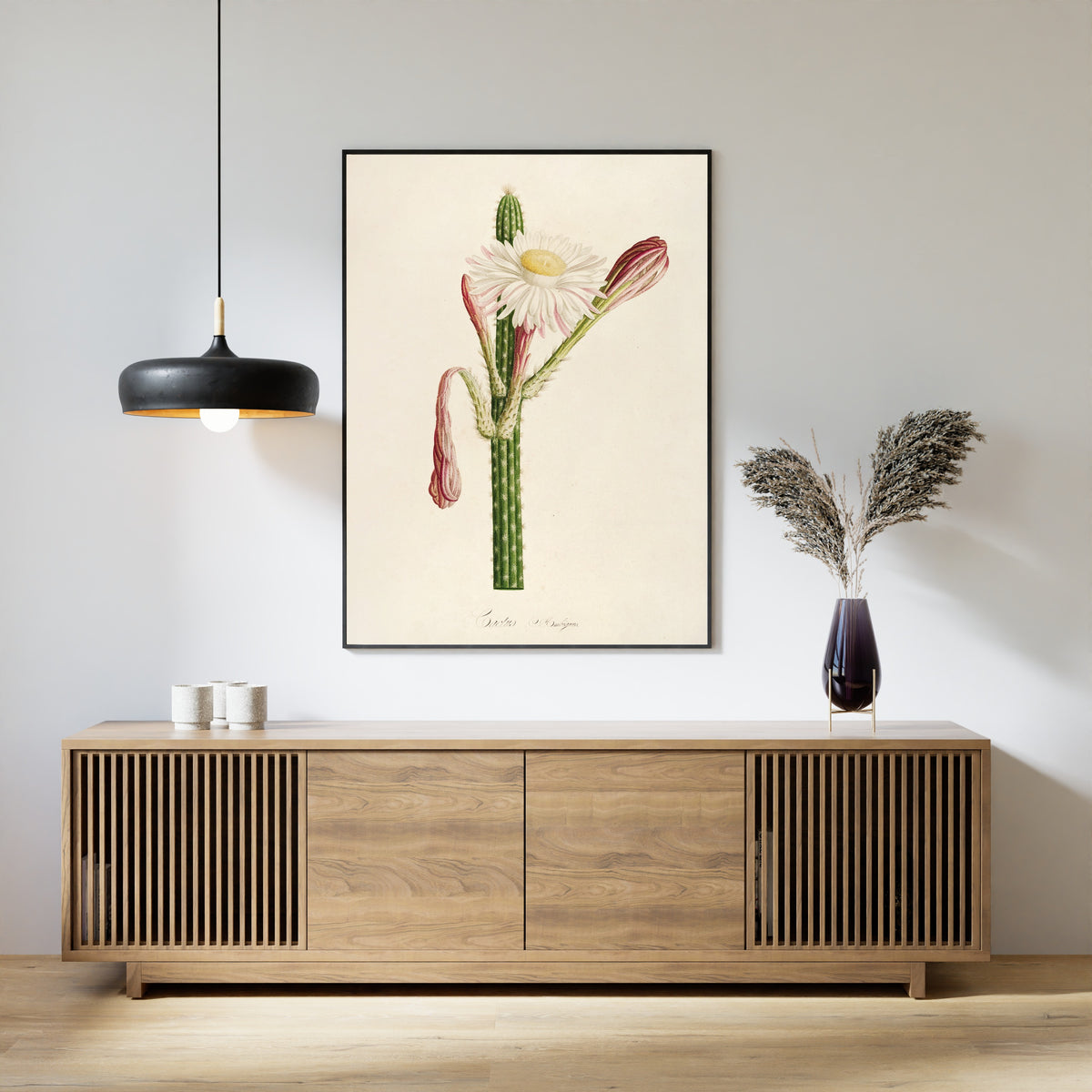 Pierre-Joseph Redouté — Description des plantes rares cultivées à Malmaison et à Navarre: Cactus ambiguus | Botanical Illustration Print
