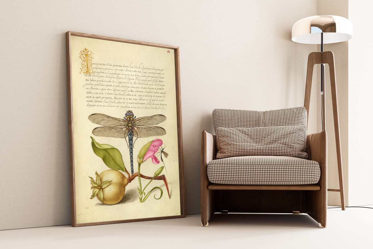Joris Hoefnagel — Dragonfly, Pear, Carnation, and Insect | Botanical Calligraphy Print