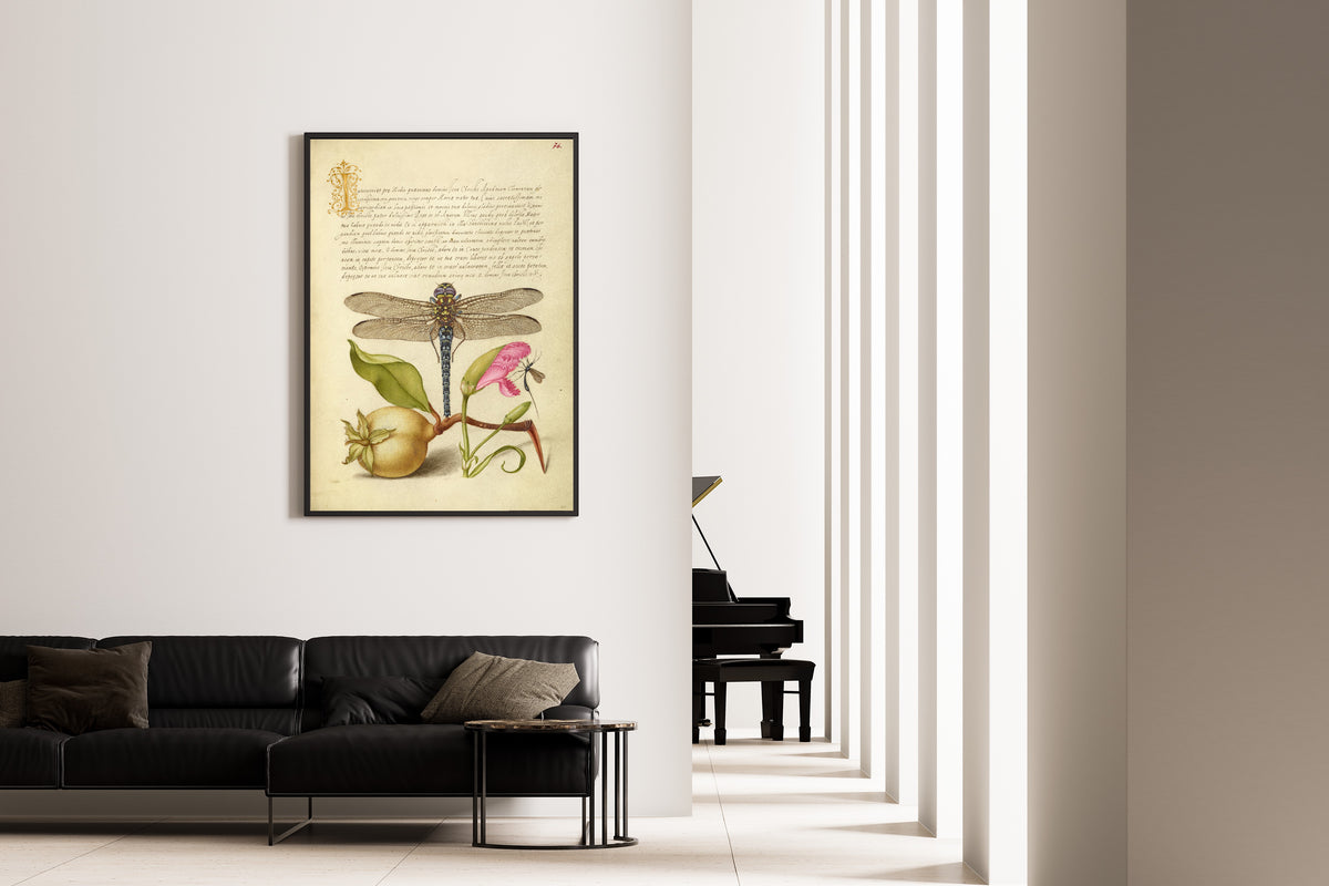 Joris Hoefnagel — Dragonfly, Pear, Carnation, and Insect | Botanical Calligraphy Print