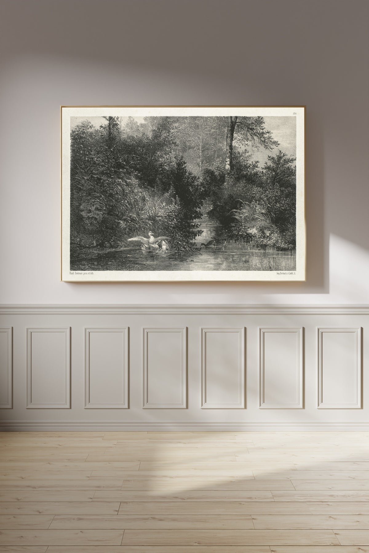 Karl Bodmer — Ducks | Fine Art Print