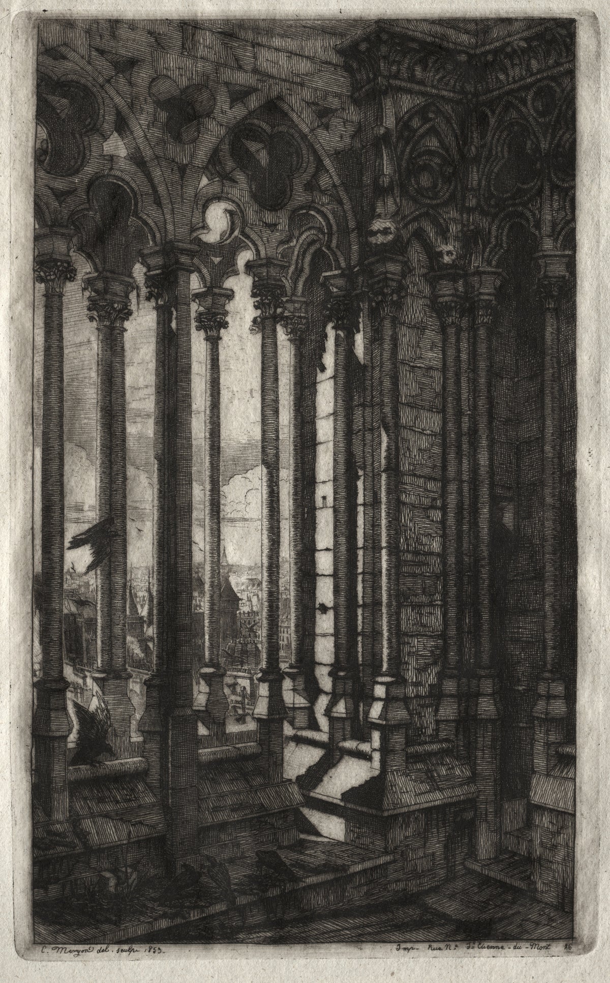 Etchings of Paris: The Gallery of Notre Dame by Charles Meryon — Ravens wheel between Gothic columns high above the rooftops of Paris