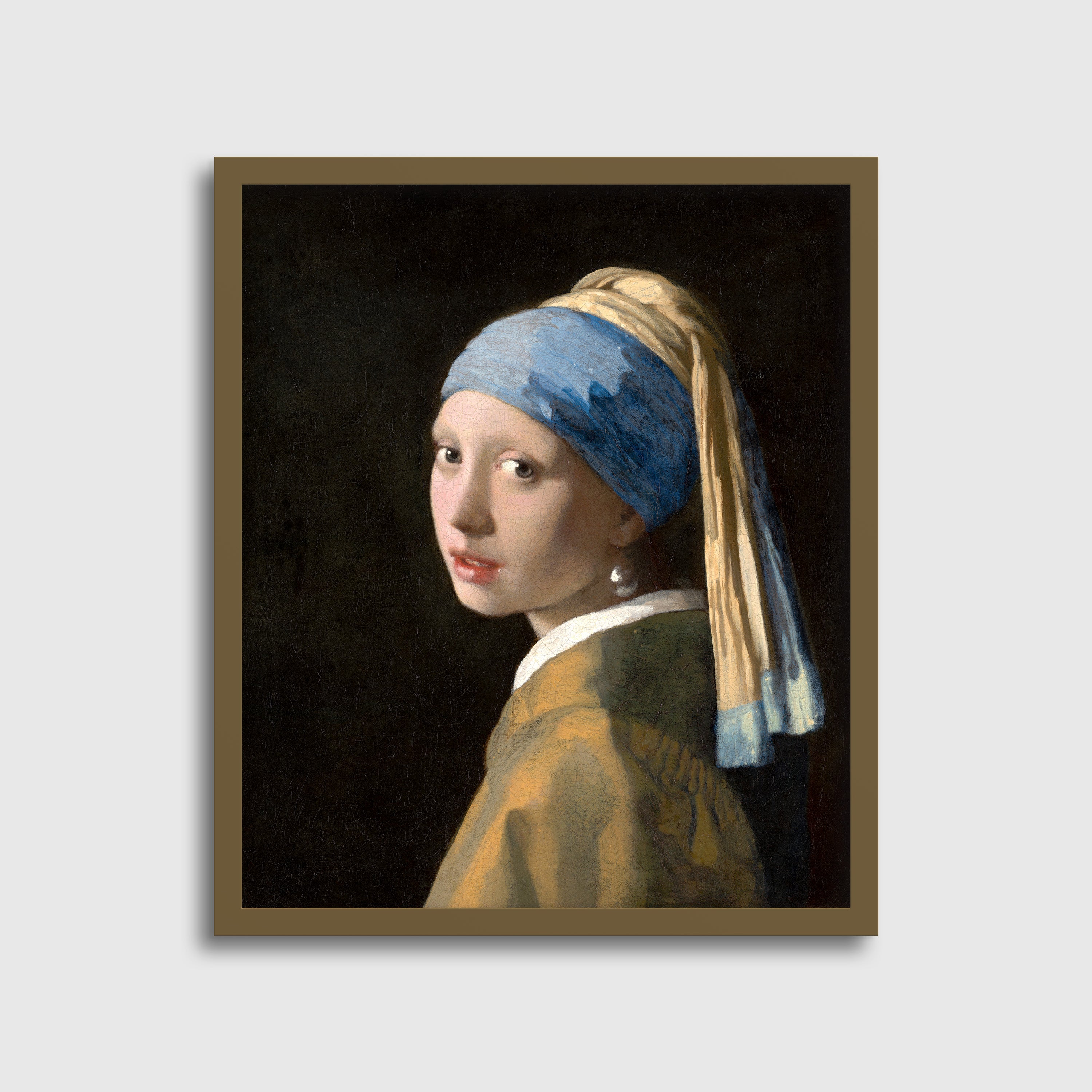 The Girl with the Pearl Earring