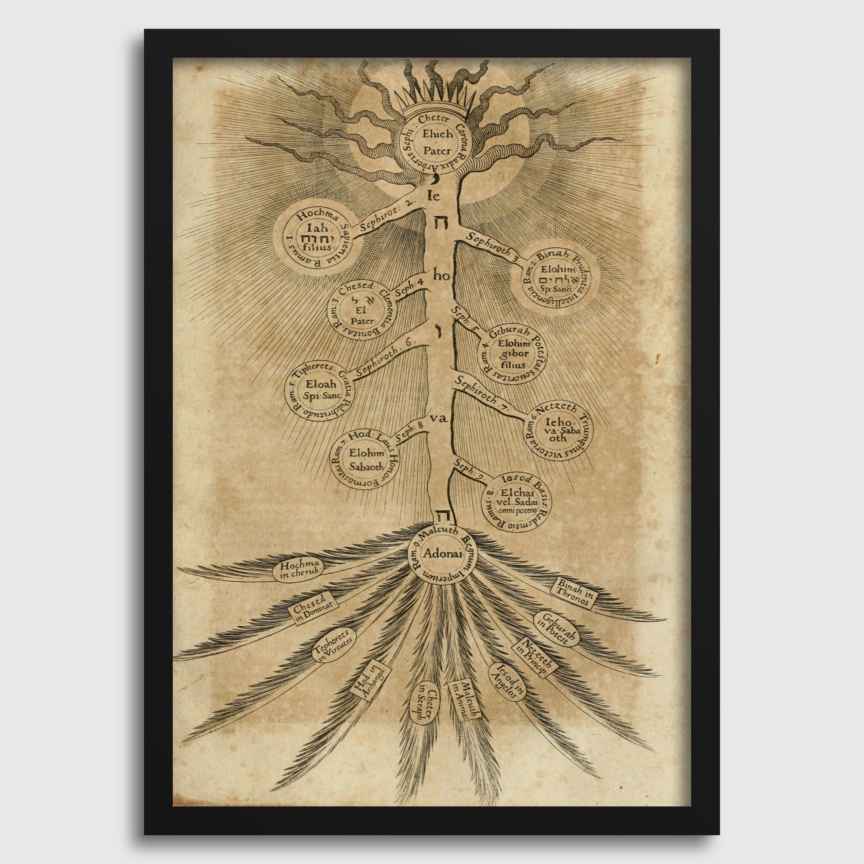 Robert Fludd - Sefirot (The Tree of Life)