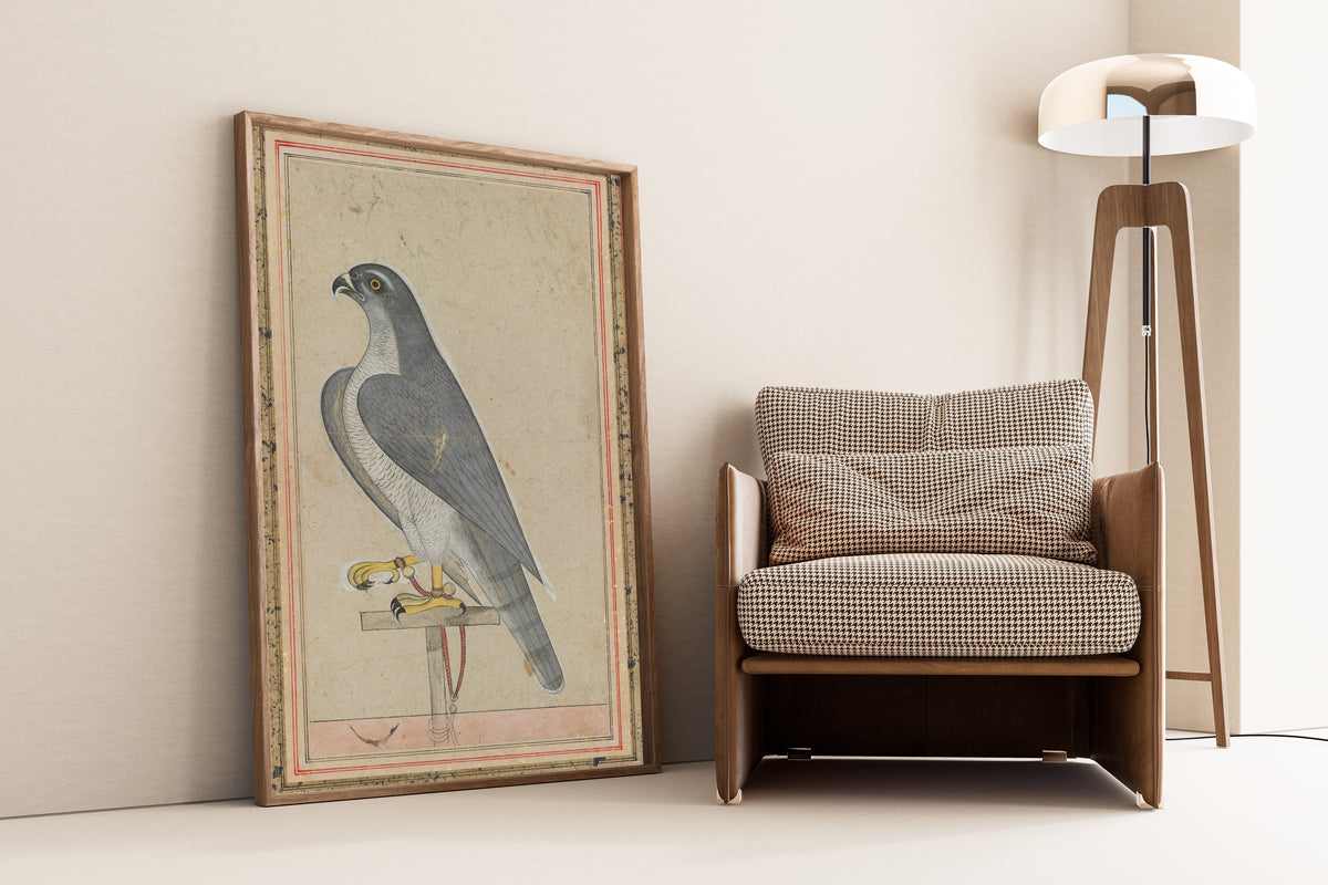 Pahari school — Falcon | Indian Miniature Painting Print