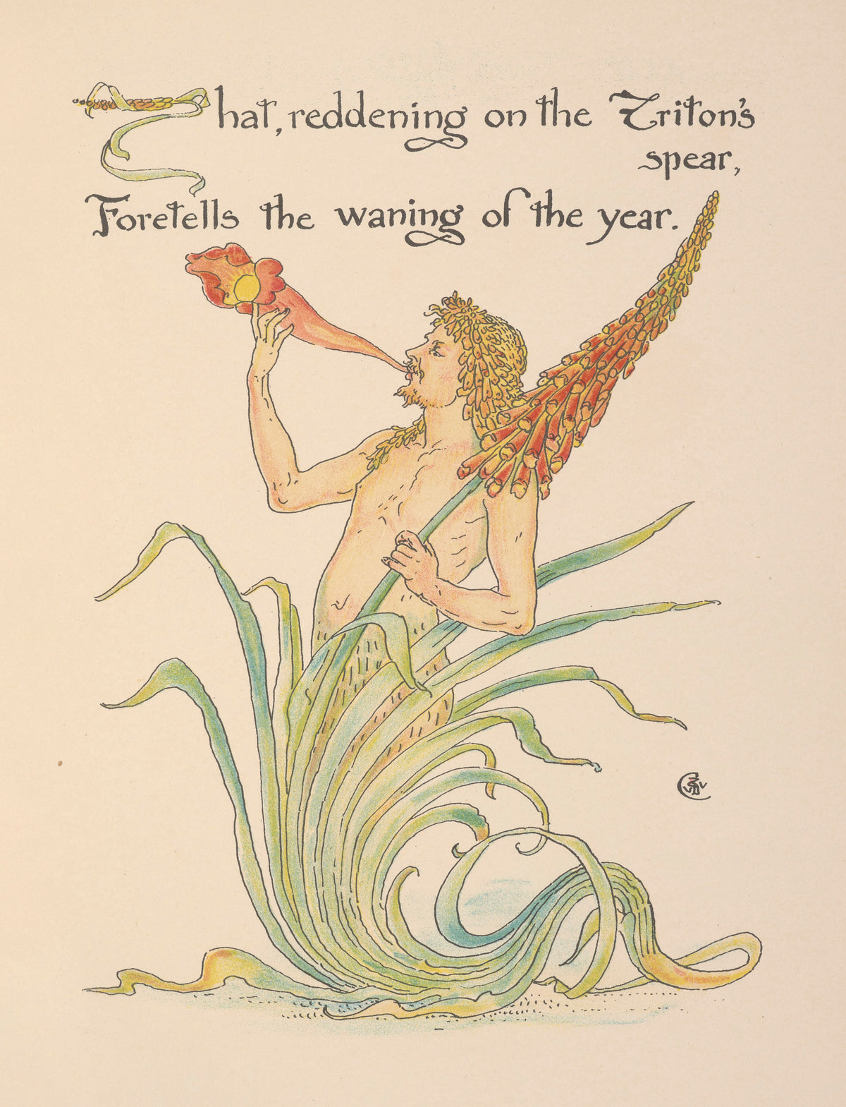 Flora's Feast: Triton's Spear by Walter Crane — A bearded merman blows a conch beside a red flower spike