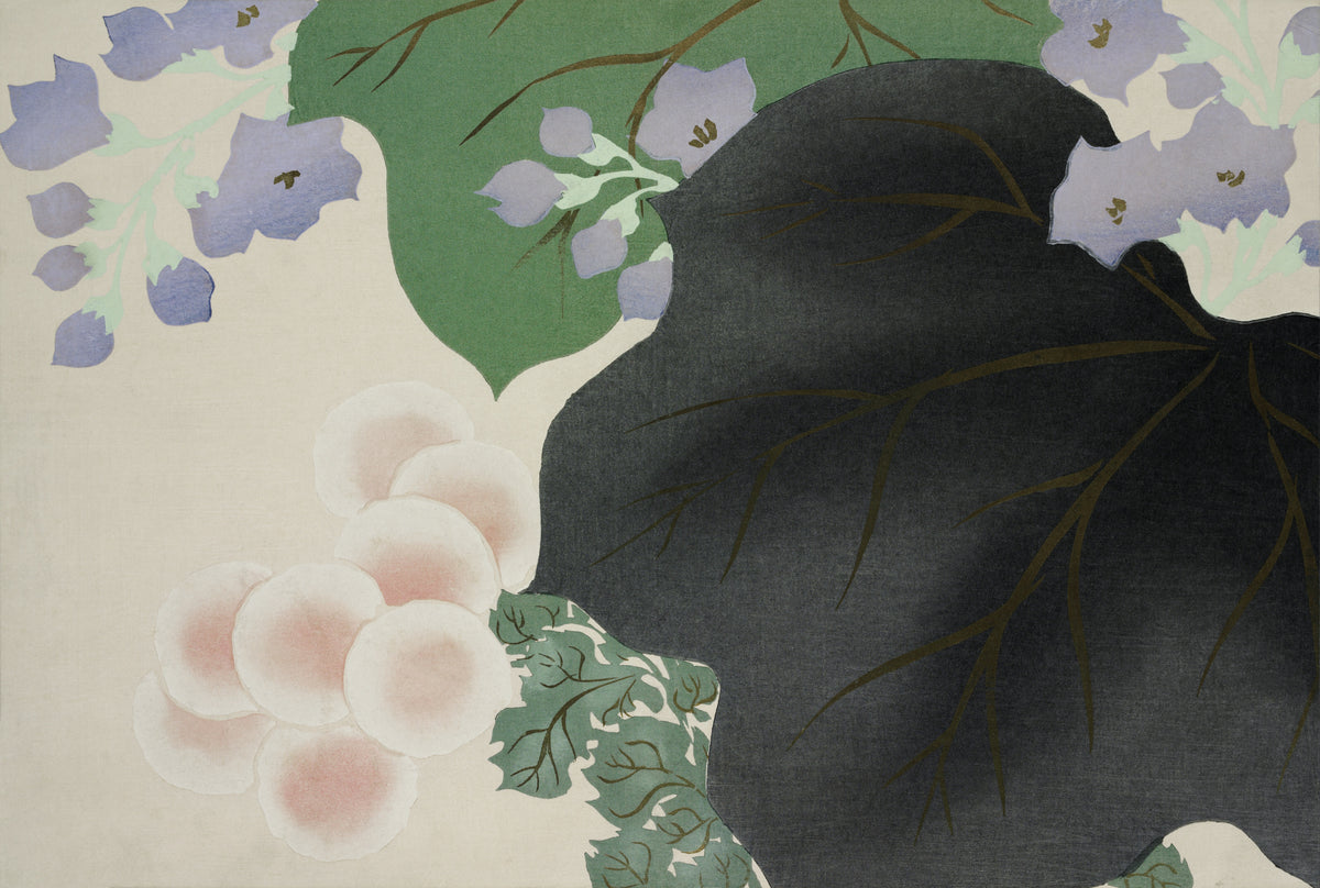 Kamisaka Sekka — Flowers and leaves, from Momoyogusa | Japanese Woodblock Print
