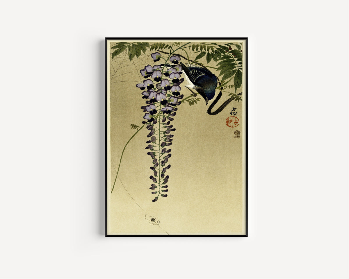 Ohara Koson — Flycatcher at Wisteria | Japanese Bird & Flower Woodblock Print
