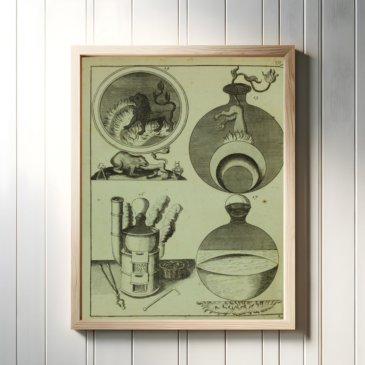 Framed art print of Four Alchemical Vessels (Elementa Chemiae, Plate 505) by Johann Conrad Barchusen, in a light wood frame on a white panelled wall