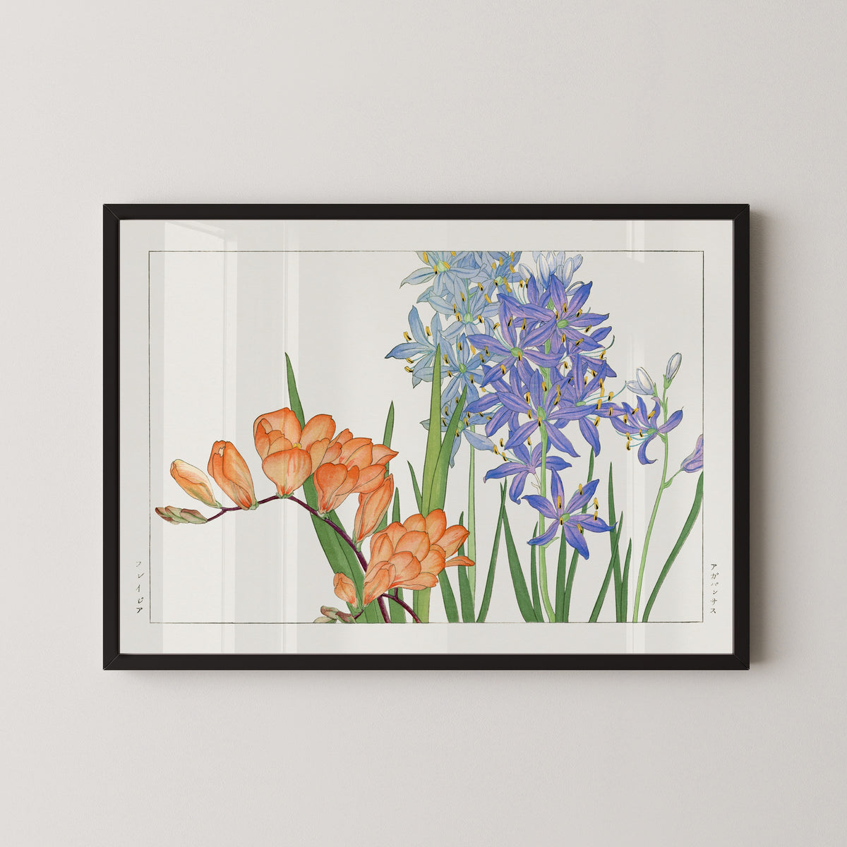 Tanigami Kōnan — Freesia flower | Japanese Botanical Woodblock Print