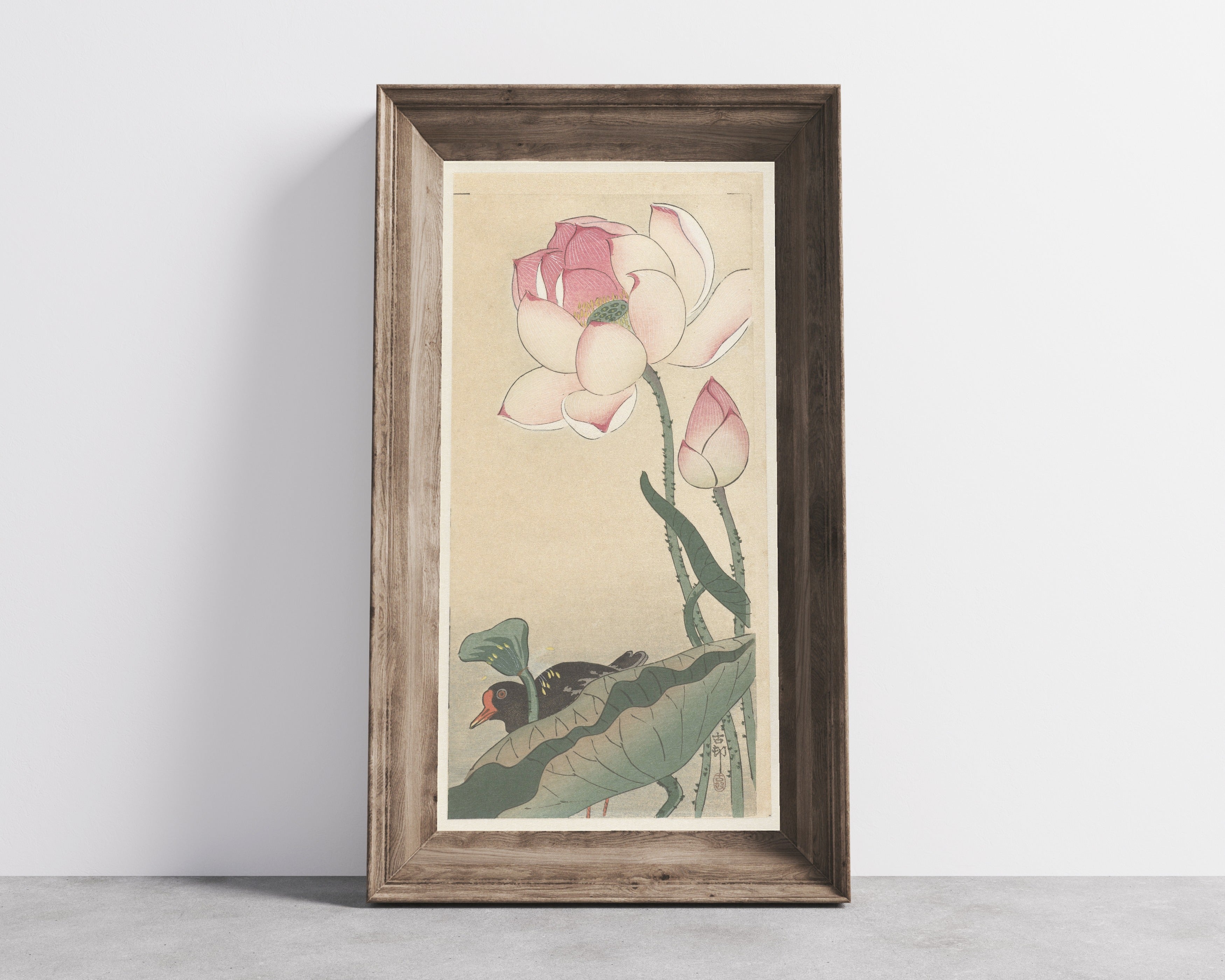 Ohara Koson — Gallinule with Lotus Flowers | Japanese Bird & Flower Woodblock Print
