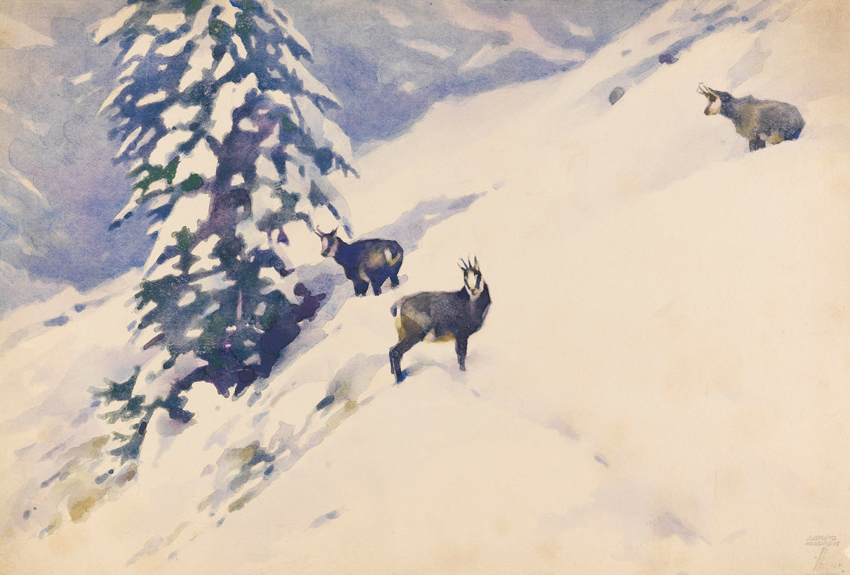 Gemsen im Schnee by Ludwig Hohlwein — Three chamois stand on a snow slope beside a laden fir