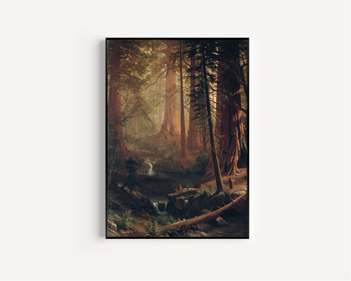 Albert Bierstadt — Giant Redwood Trees of California | Landscape Fine Art Print