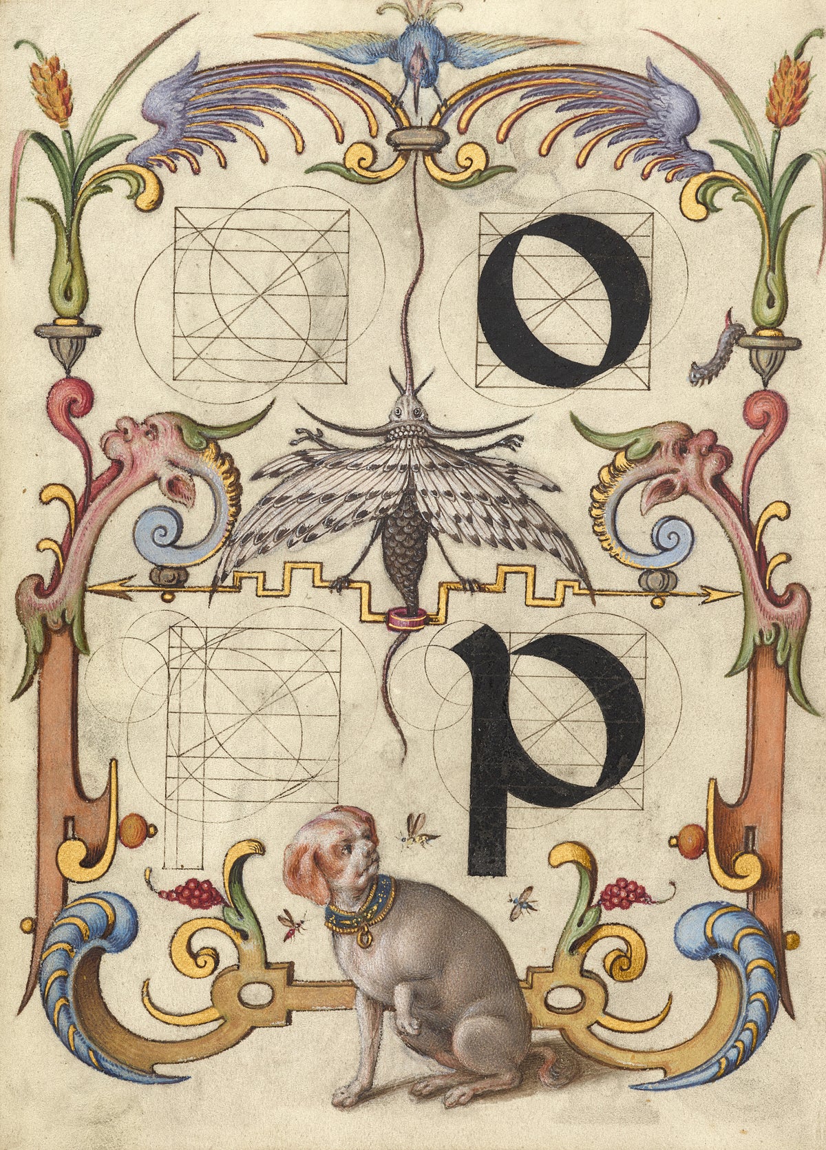Joris Hoefnagel — Guide for Constructing the Letters o and p | Illuminated Calligraphy Print