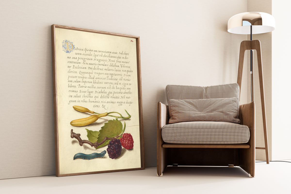 Joris Hoefnagel — Hyacinth, Black Mulberry, and Caterpillar | Botanical Calligraphy Print