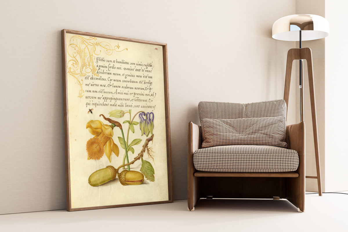 Joris Hoefnagel — Insect, Daffodil, European Columbine, and English Oak Acorns | Botanical Calligraphy Print