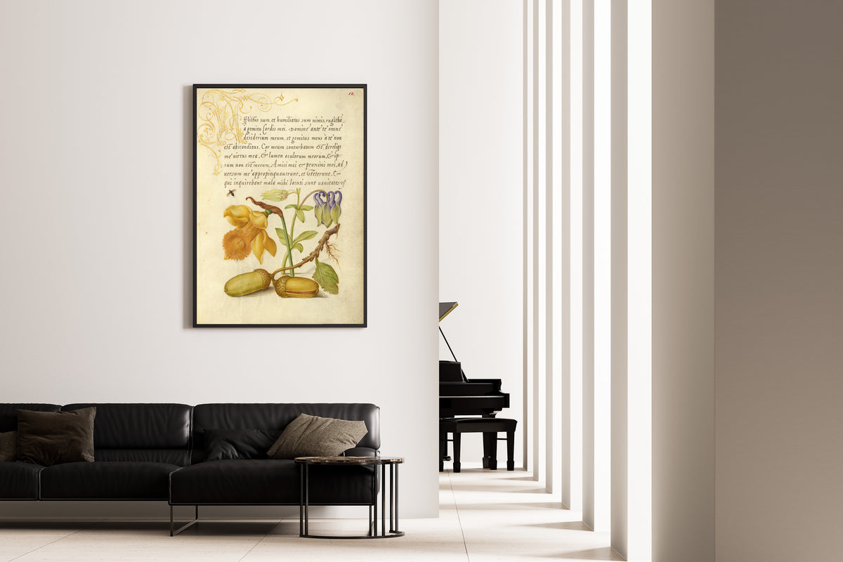 Joris Hoefnagel — Insect, Daffodil, European Columbine, and English Oak Acorns | Botanical Calligraphy Print