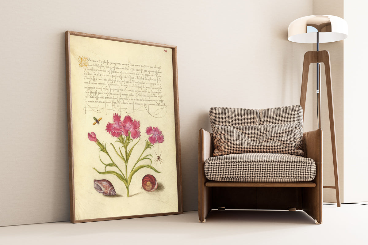 Joris Hoefnagel — Insect, Sweet William, Spider, Marine Mollusk, and Eye of Santa Lucia | Botanical Calligraphy Print