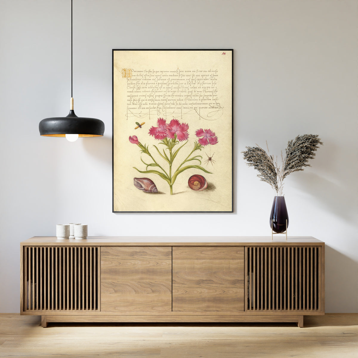 Joris Hoefnagel — Insect, Sweet William, Spider, Marine Mollusk, and Eye of Santa Lucia | Botanical Calligraphy Print