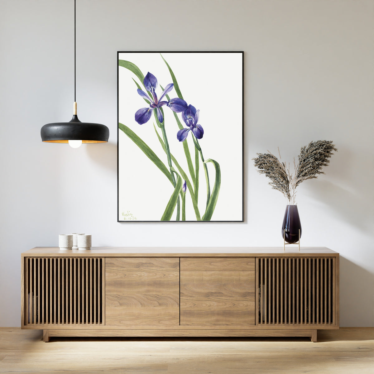 Mary Vaux Walcott — Iris (Iris species) | Fine Art Print
