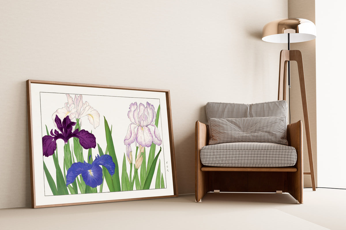 Tanigami Kōnan — Iris flower | Japanese Botanical Woodblock Print