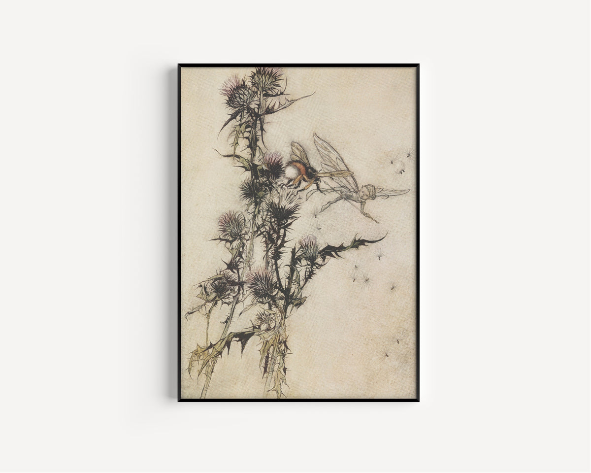 Arthur Rackham — Kill Me a Red-Hipped Humble-Bee on the Top of a Thistle | Shakespeare Illustration Print