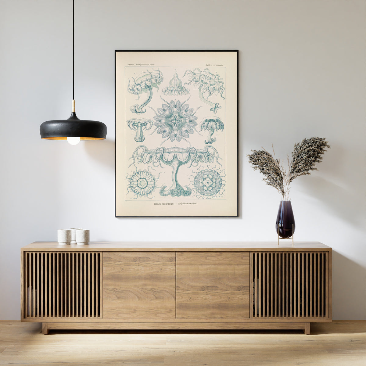 Ernst Haeckel — Kunstformen der Natur, Plate 18: Discomedusae | Scientific Illustration Print