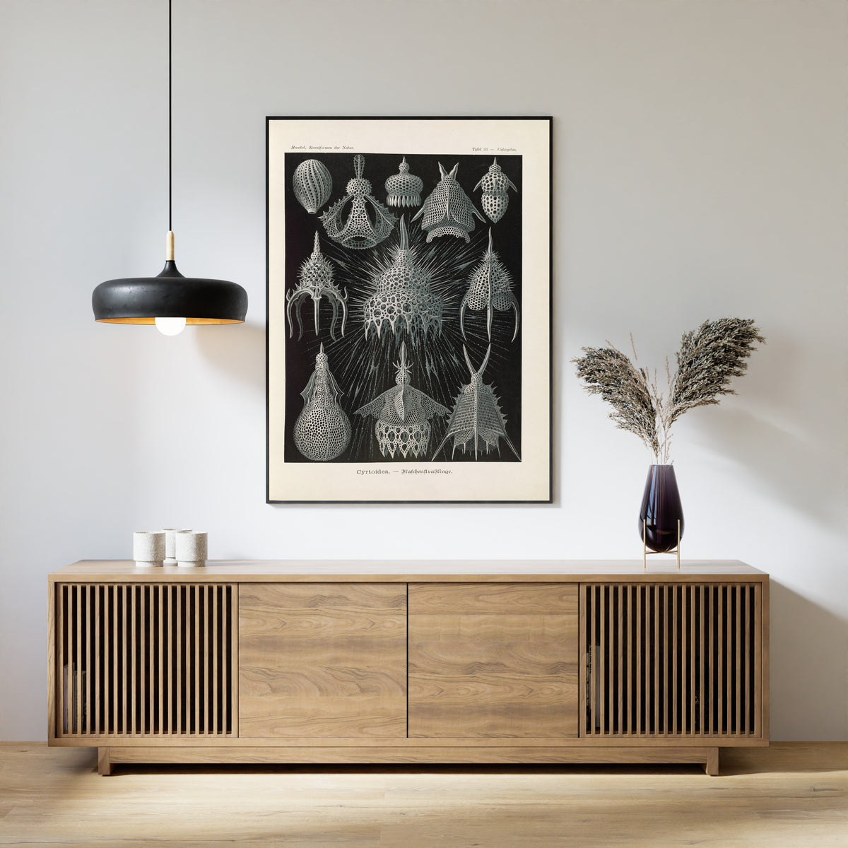 Ernst Haeckel — Kunstformen der Natur, Plate 31: Cyrtoidea | Scientific Illustration Print