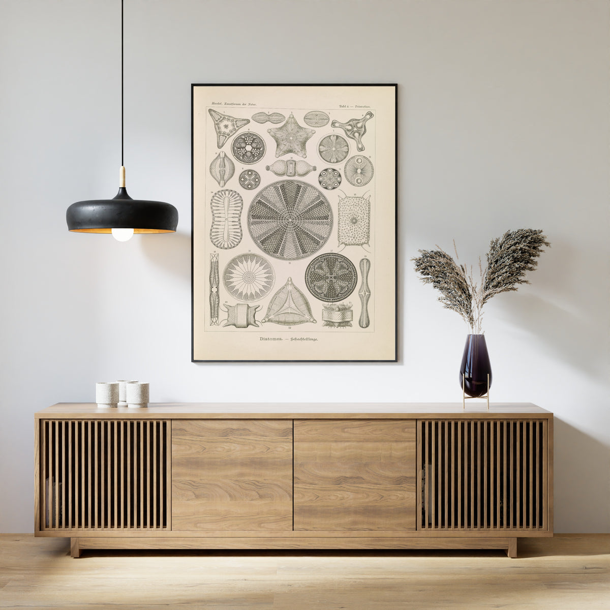 Ernst Haeckel — Kunstformen der Natur, Plate 4: Diatomea | Scientific Illustration Print