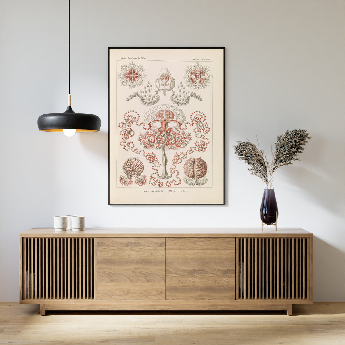 Ernst Haeckel — Kunstformen der Natur, Plate 46: Anthomedusae | Scientific Illustration Print