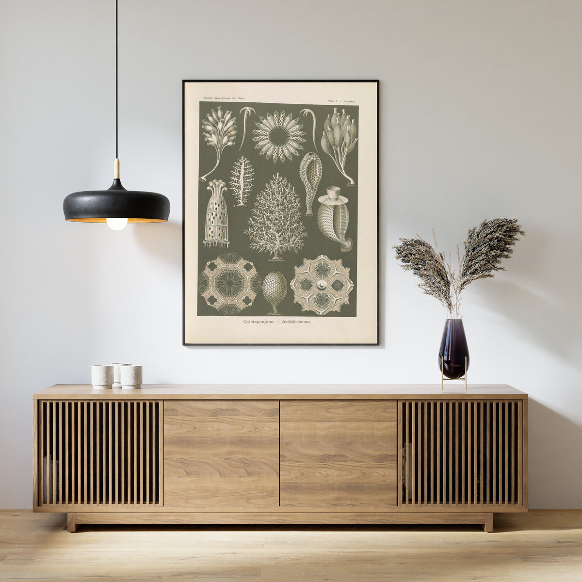 Ernst Haeckel — Kunstformen der Natur, Plate 5: Calcispongiae | Scientific Illustration Print