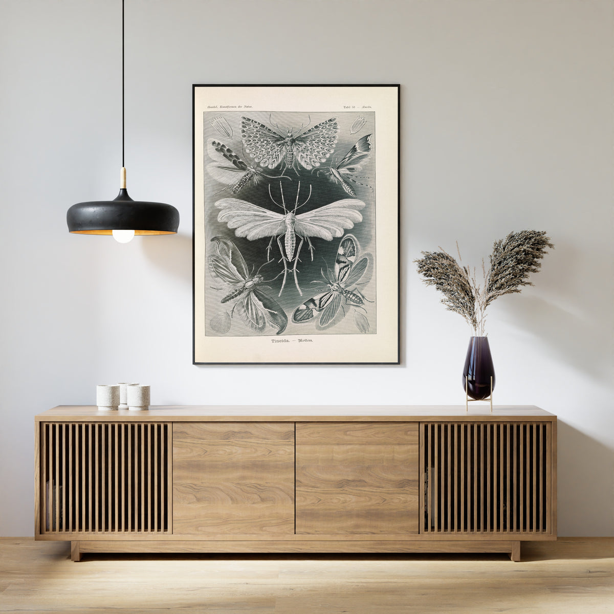 Ernst Haeckel — Kunstformen der Natur, Plate 58: Tineida | Scientific Illustration Print