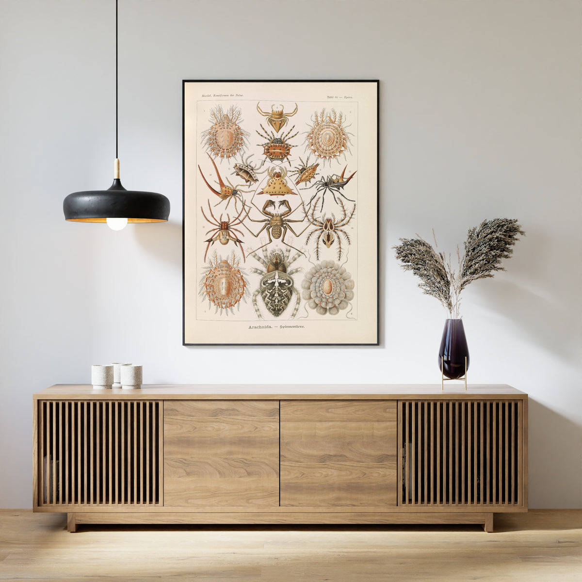 Ernst Haeckel — Kunstformen der Natur, Plate 66: Arachnida | Scientific Illustration Print
