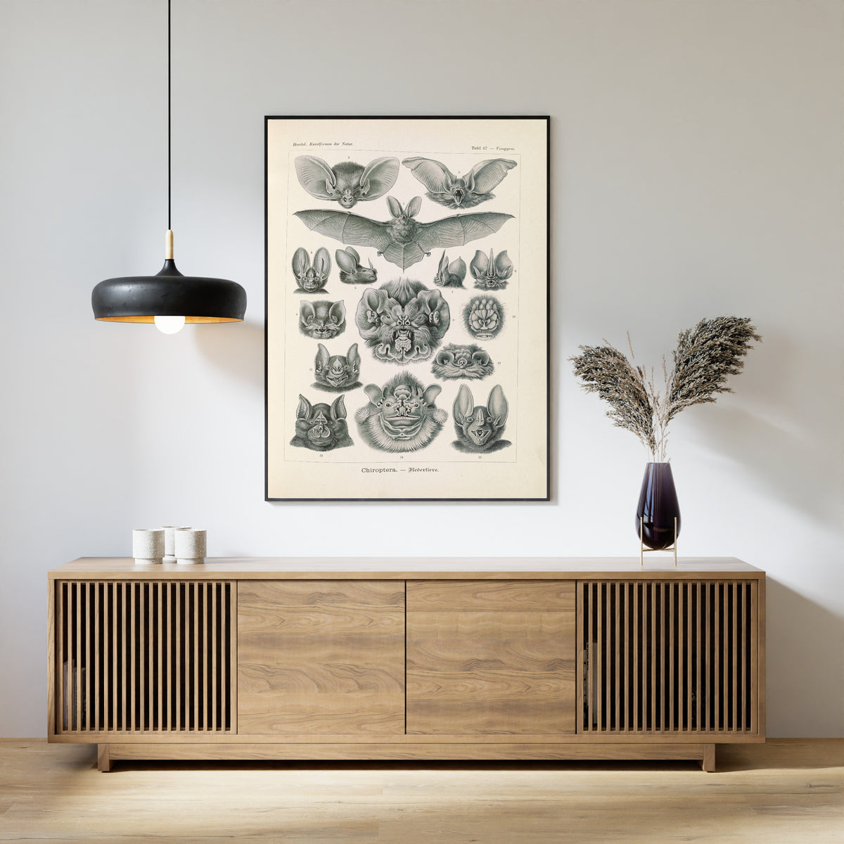 Ernst Haeckel — Kunstformen der Natur, Plate 67: Chiroptera | Scientific Illustration Print